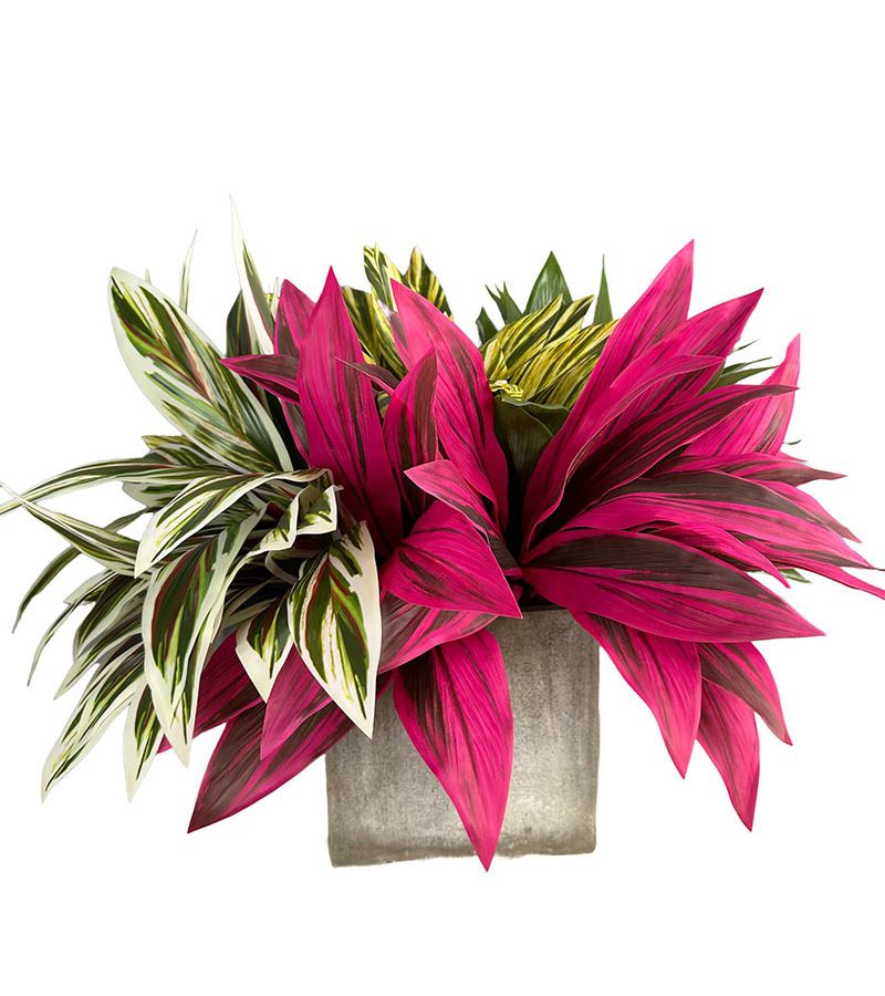 1 Bundle Of 9 Pieces Red Achidia Leaves 20 87inch Home Green Artificial Tree Simulated Greenery Decoration - Image 1