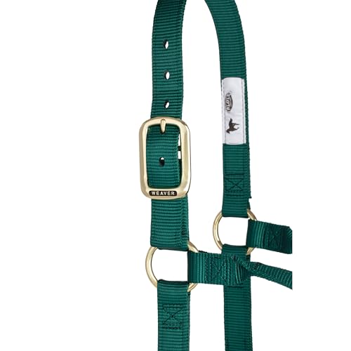 Weaver Leather Original Non-Adjustable Nylon Horse Halter, Large, Hunter Green - Image 3