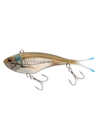 Mangrove Shad