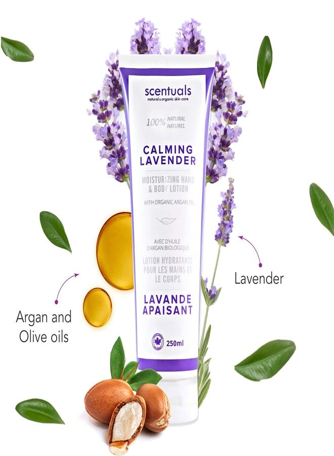 Scentuals Hand & Body Cream Scented with Essential Oil Lavender, Made with Organic Argan Oil, Olive Oil and Aloe Juice, for Dry Skin, Cruelty Free, Natural Skin Care Products, 250 ml, 8.45 fl.oz - Image 2