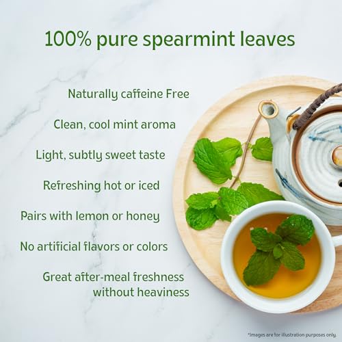 TE-A-ME Spearmint Infusion - 100g (100+ Cups) | Spearmint Leaves Infusion for PCOS, PCOD & Facial Hair | Helps - Balance Hormones, Reduces Facial Hair & Acne | Supports Digestion | Herbal Tea - Dried Loose Leaf - Caffeine Free - Image 4