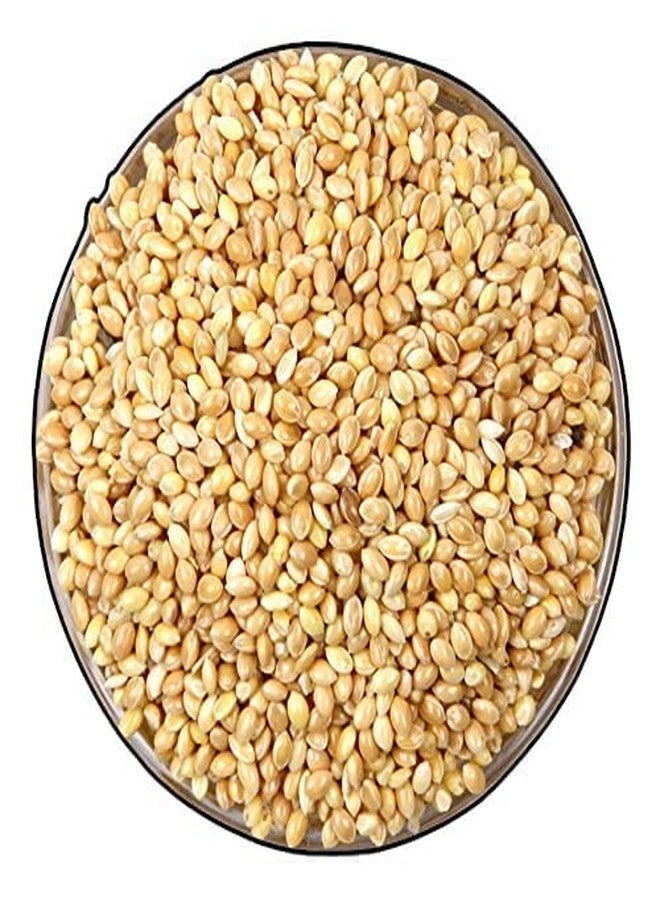 Veganic Foxtail Millet for Birds | Kangni Seed Bird Food | Food for Canaries, Finches, Waxbills, Budgies, Lovebirds, Cockatiels (900g) - Image 3