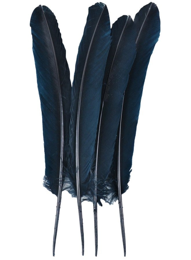 Touch of Nature 40365 4-Piece Turkey Feather for Art and Craft, 12.25 to 13-Inch, Black - Image 4