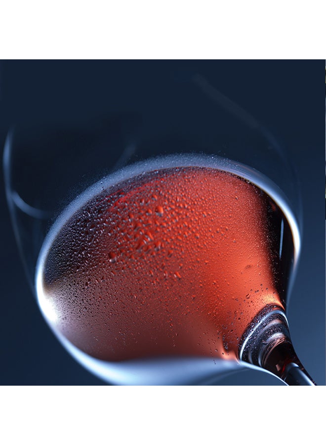 Ocean Wine Gl Set - 6 Red Wine Gl + 1 Rack + 1 Decanter - Image 2