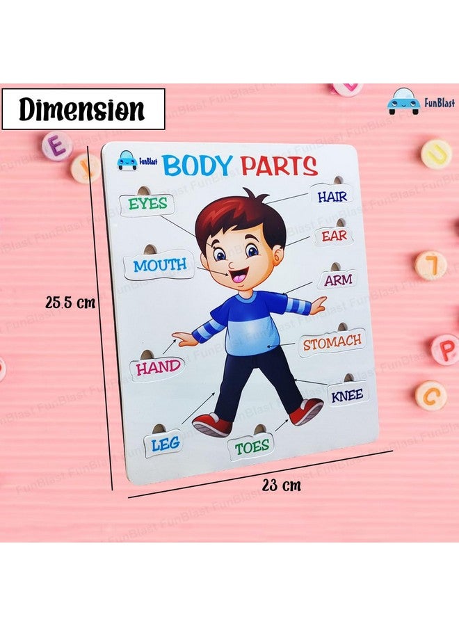 FunBlast Body Parts Puzzle for Kids - Body Parts Toys, Educational Toys for Kids, Body Parts Chart for Kids, Body Parts, Parts of The Body Puzzle (Pack of 1Pcs) (Body Parts) - Image 2