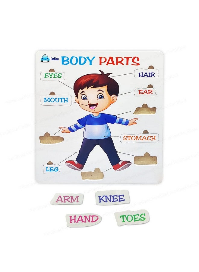 FunBlast Body Parts Puzzle for Kids - Body Parts Toys, Educational Toys for Kids, Body Parts Chart for Kids, Body Parts, Parts of The Body Puzzle (Pack of 1Pcs) (Body Parts) - Image 1