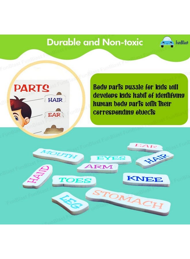 FunBlast Body Parts Puzzle for Kids - Body Parts Toys, Educational Toys for Kids, Body Parts Chart for Kids, Body Parts, Parts of The Body Puzzle (Pack of 1Pcs) (Body Parts) - Image 3