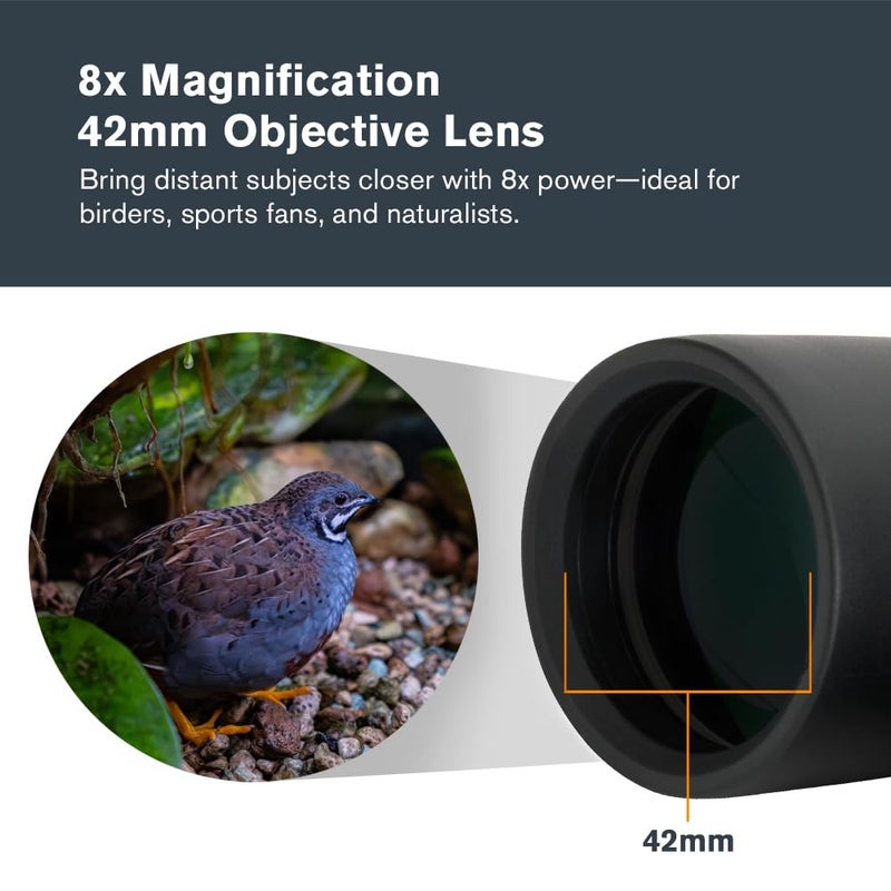Celestron - Outland X 8x42 Binoculars â€“ Ideal for Birding and Outdoors â€“ 42mm Objective Lenses â€“ Wide 7Â° Field of View â€“ BaK-4 Prisms â€“ Multi-Coated â€“ Waterproof and Fogproof - Image 3