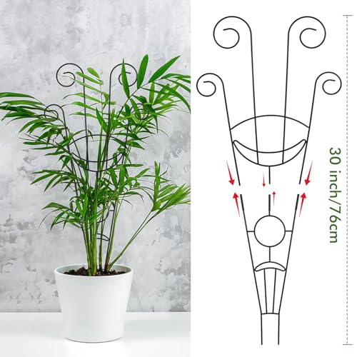 ZOUTOG Trellis for Climbing Plants Indoor 4 Pack 30 Inch,Rustproof Metal Garden Trellis for Potted Plants,Sturdy Houseplant Support Indoor Outdoor for Ivy Pothos Monstera Hoya Flower Vine (Black Moon) - Image 2