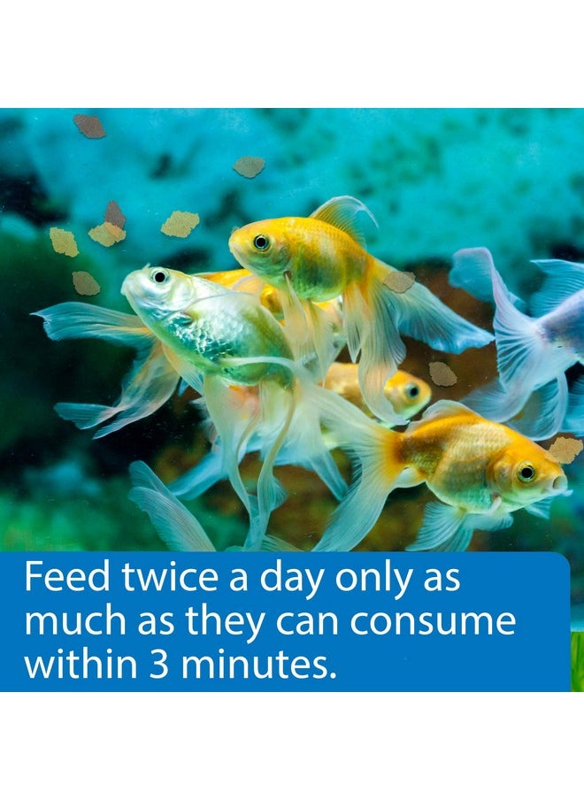 ايه بي آي رقائق طعام السمك API GOLDFISH FLAKES عبوة 0.36 أونصة  - Image 3