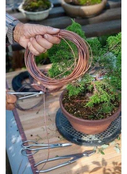 GloPRO Glopro 20Mtr 15mm Aluminium Wire for Bonsai Garden Craft and Electrical use  - Image 2
