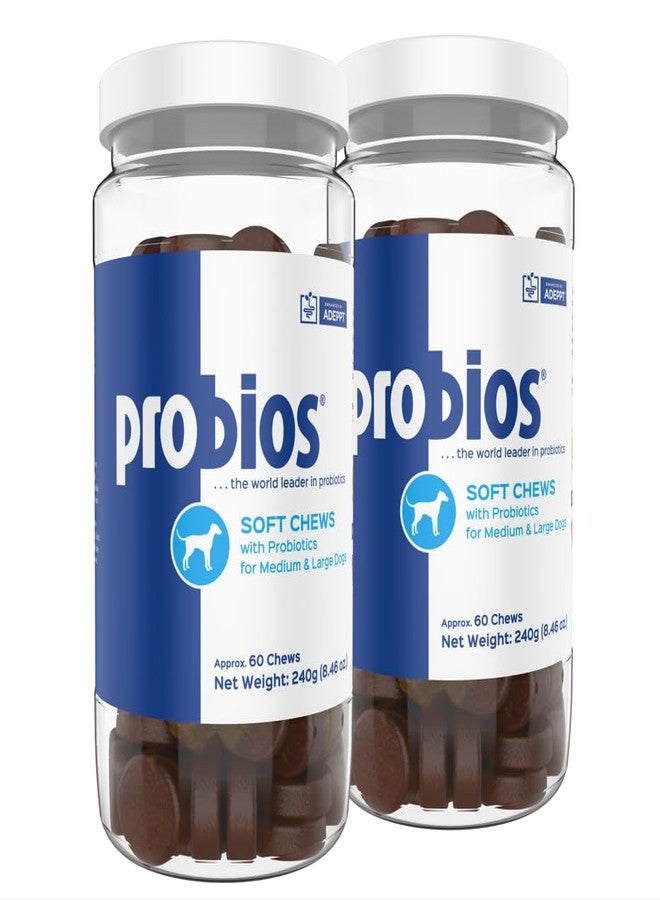 بروبيوس بروبيوتيك للكلاب، قطع مضغ طرية، بروبيوتيك للكلاب، مكمل غذائي يومي لصحة الأمعاء والهضم ودعم المناعة، للسلالات المتوسطة والكبيرة، 8.46 أونصة (عبوة من قطعتين) - Image 1
