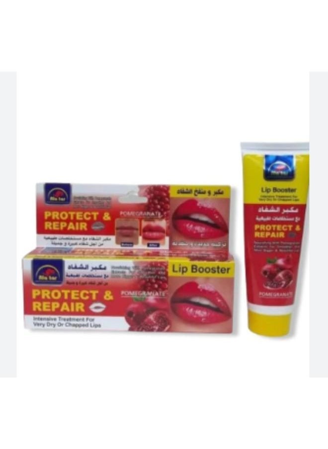 alattar Protect And Repair Lip Booster 50 Grams 