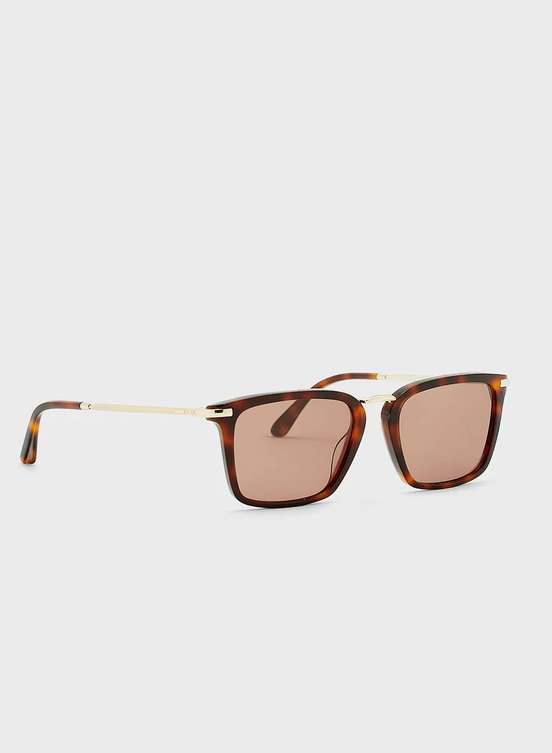 CALVIN KLEIN Wayfarers Sunglasses