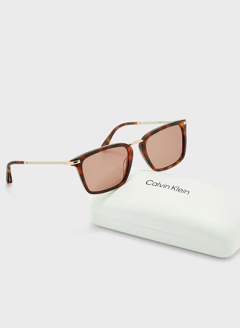CALVIN KLEIN Wayfarers Sunglasses