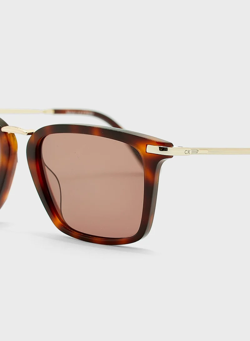 CALVIN KLEIN Wayfarers Sunglasses