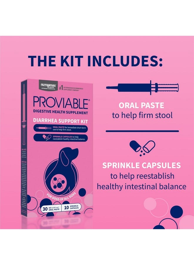 Nutramax Laboratories Nutramax Proviable Probiotics for Dogs, Diarrhea Support Kit, Digestive Health Supplement with Multiple Strains of Bacteria, Plus Prebiotics, Kaolin and Pectin, 30 ml Paste and 10 Capsules  - Image 4