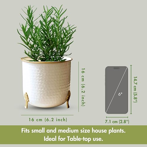 BEHOMA Metal Hammered White Planter with Golden Trim for Home Decor | Decoratives for Indoor Outdoor Balcony Living Room | Table Decor Plant Pot Gifting | Size H- 6" x Dia.6 inch (Plant not Included) - Image 4
