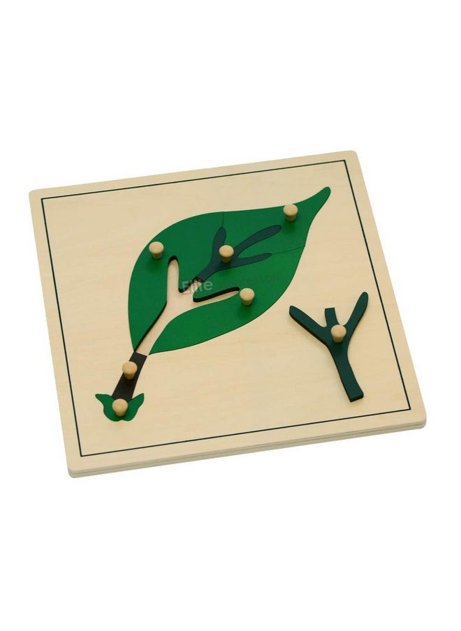 Leaf Puzzles Toy For Preschool Early Child Development Learning Material - pzsku/Z0280CD87A5D96AB276D2Z/45/_/1734348035/091a428a-81a0-4daf-9d8d-1caa510e4b07