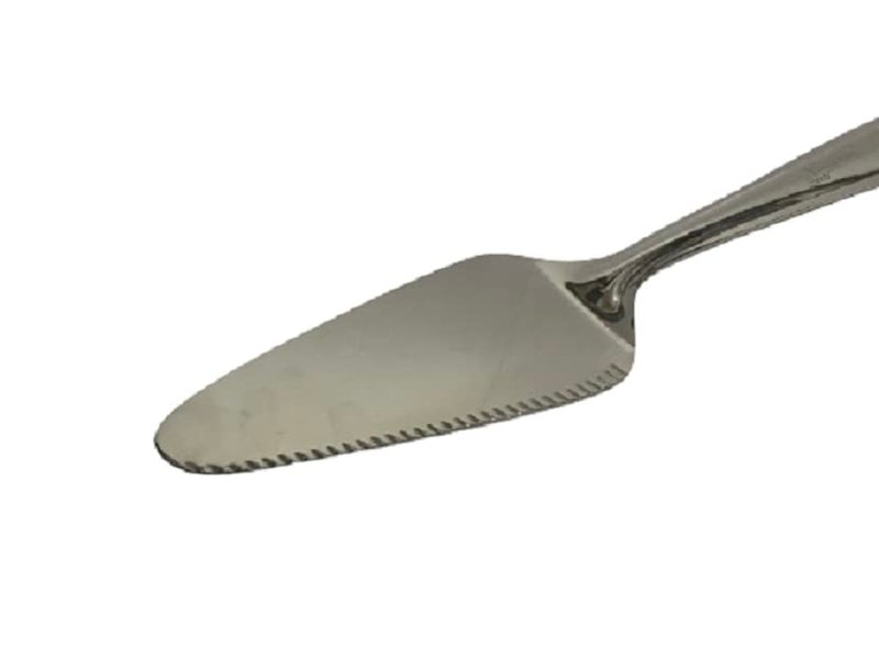 Dynore حامل كعكة وبيتزا من الفولاذ المقاوم للصدأ من داينور مع رافع فطيرة - Image 5