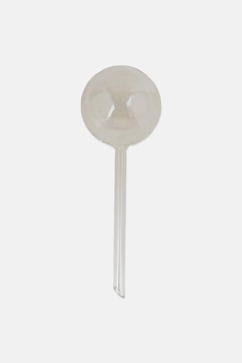موي موتشو Glass Self Watering Bubble, Transparent