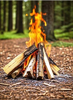 ALSAQER Hardwood - 10 Kg | Fire Wood | Birch Wood -Yellow Bag - 30 Litre  - Image 5