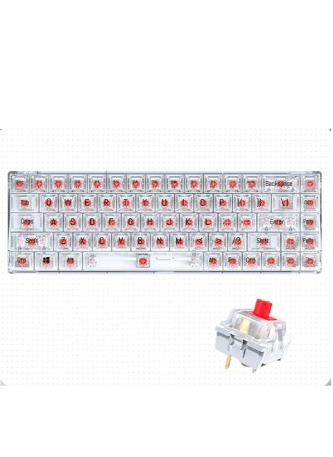 Transparent Gaming Keyboard,68 Keys USB Wired Mechanical Keyboard with Transparent PBT Keycaps and RGB Side Light for Office Gaming,Suitable for PC/Ps4/Xbox Gamers,Red Switch
