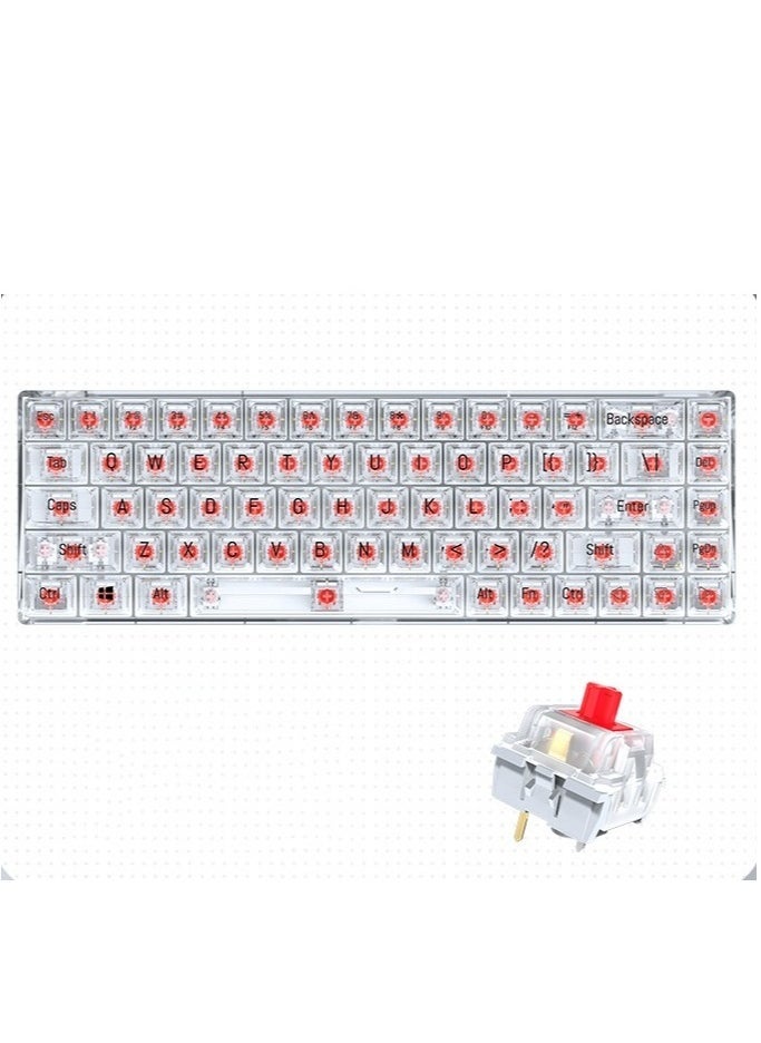 T-WOLF - Transparent Gaming Keyboard,68 Keys USB Wired Mechanical Keyboard with Transparent PBT Keycaps and RGB Side Light for Office Gaming,Suitable for PC/Ps4/Xbox Gamers,Red Switch - Image 1