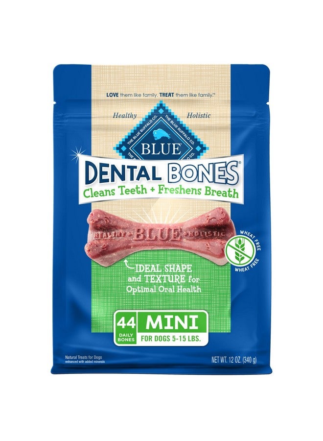 بلو بافلو مكافآت مضغ الأسنان الطبيعية الصغيرة للكلاب من Dental Bones، (5-15 رطلاً) كيس 12 أونصة - Image 1
