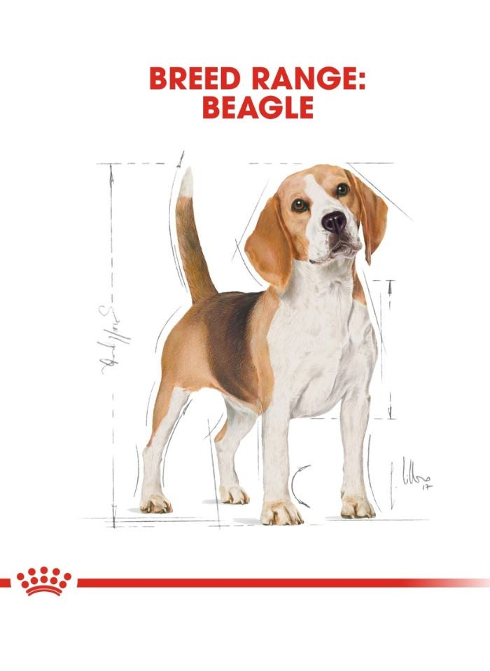 ROYAL CANIN Breed Health Nutrition Beagle Adult 3 KG - Image 4
