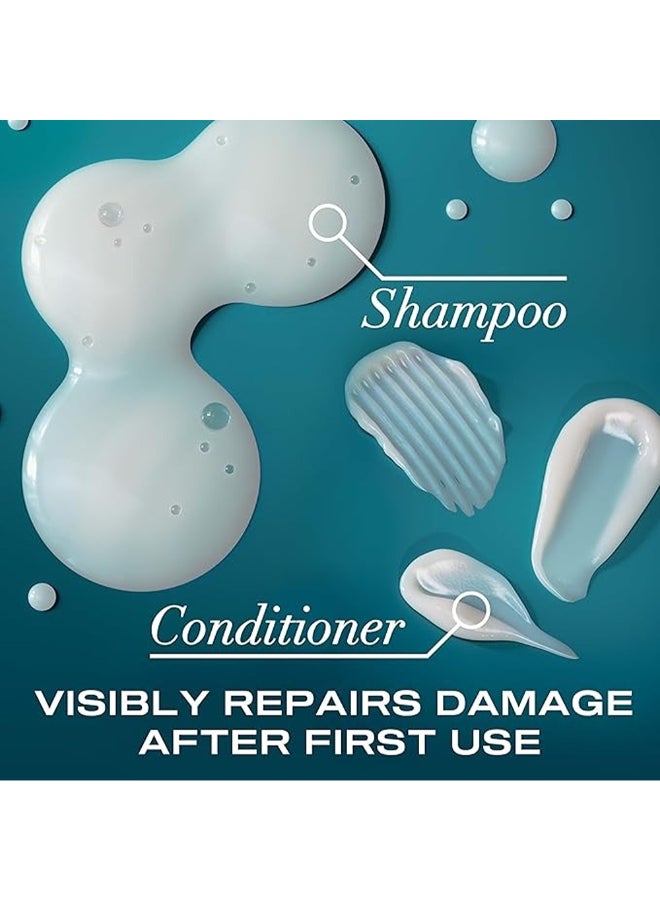 Ogx Renewing + Argan Oil Of Morocco Shampoo And Conditioner Combo Pack, 770Ml - Image 5