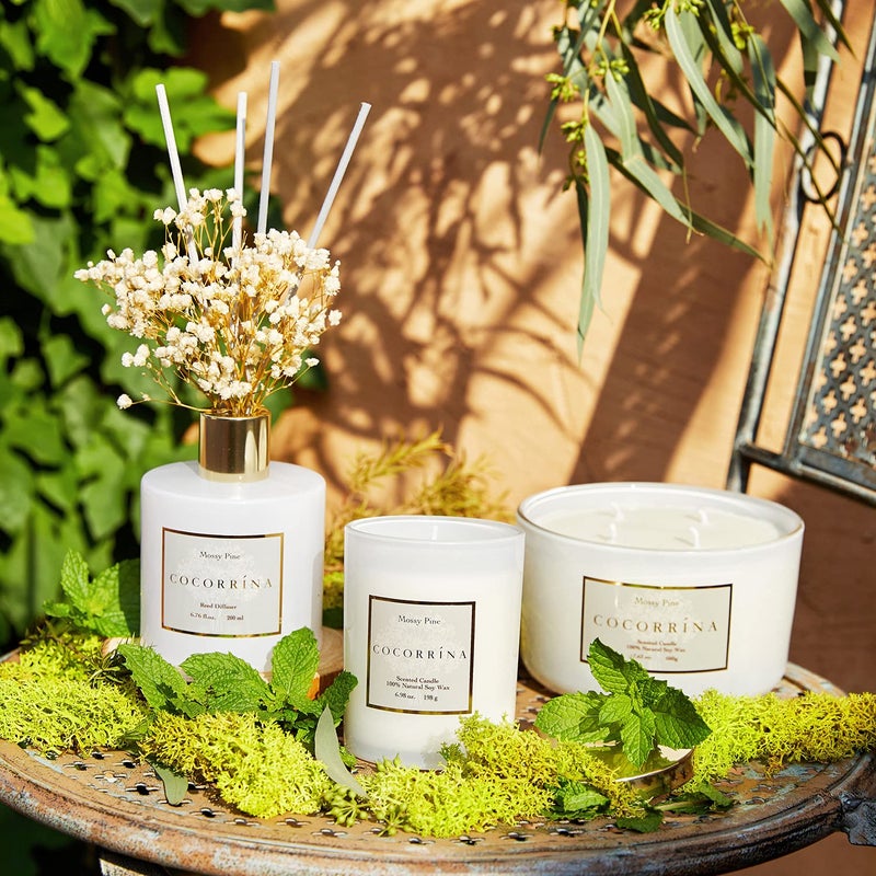 COCORRÃNA CocorrÃ­na Premium Reed Diffuser Set with Preserved Baby's Breath & Cotton Stick Coconut Lime | 6.7oz Scent Fragrance Oil Diffuser for Bedroom Bathroom Home DÃ©cor - Image 2