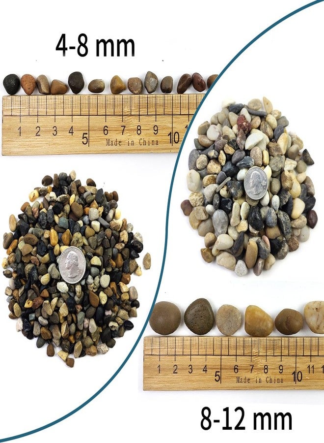 SHIZWU 5LB Aquarium Gravel, 1/4" Pea Gravel for Fish Tank, Small River Rocks for Garden Decoration, Landscaping, Vase Filling, Flower Pot Paving(4-8MM) - Image 2