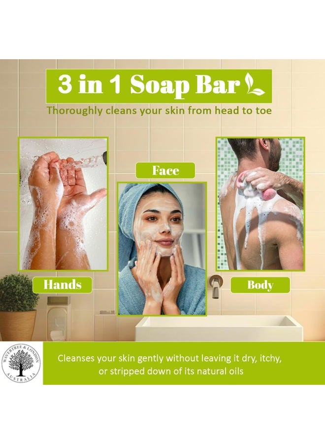 Hygger Basil, Lime & Mandarin Scented Natural Soap (8 Bars), 7oz Moisturizing French Triple Milled Soap Bars enriched with shea butter - Pure Plant Oil Bath & Body Soap for All Skin Types - Image 5