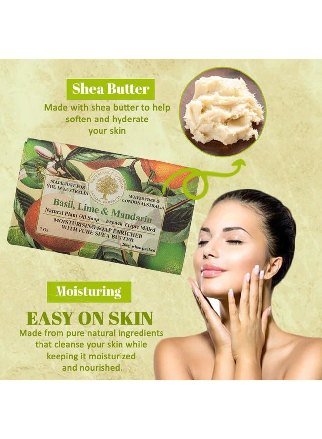 Hygger Basil, Lime & Mandarin Scented Natural Soap (8 Bars), 7oz Moisturizing French Triple Milled Soap Bars enriched with shea butter - Pure Plant Oil Bath & Body Soap for All Skin Types - Image 4