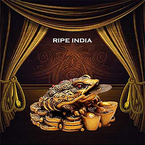 RIPE INDIA Ripe India Money Feng Shui Money Frog Legged Toad Hold Two Ignots On A Pile of Money for Wealth Luck Legged Money Frog - Image 5
