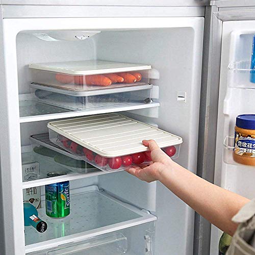 Naranqa Food Storage Containers 11.02×8.85×1.81" Vegetable Organizer 98-oz with Lid Clear Fridge Crisper Keep Food Fresh BPA Free Kitchen Organizer Bins (1 x Large) - Image 3