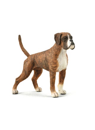 BOXER DOG - pzsku/Z02905E7639925665A361Z/45/1744568378/c88b810b-895b-4994-9120-f8d0ef97fb62