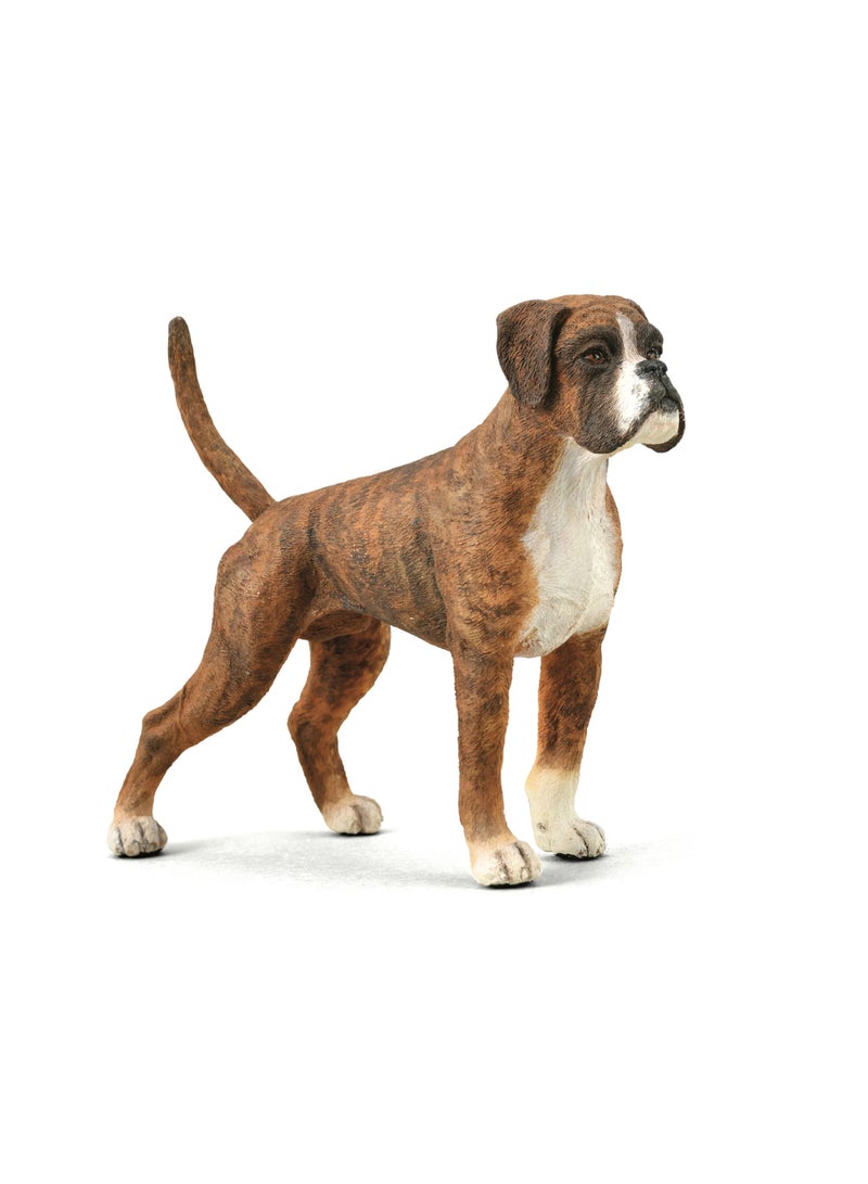 CollectA BOXER DOG 