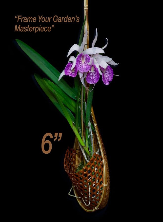PANWA Handmade 100% Thai Bamboo Woven 6 Inch Signature Super Sanctuary Kit Hanging Basket Large Multi-Purpose Bird Nest Style with Nursery Grade Coconut Shell Staves Coir Pith Sponge and Husk Mulch - Image 3