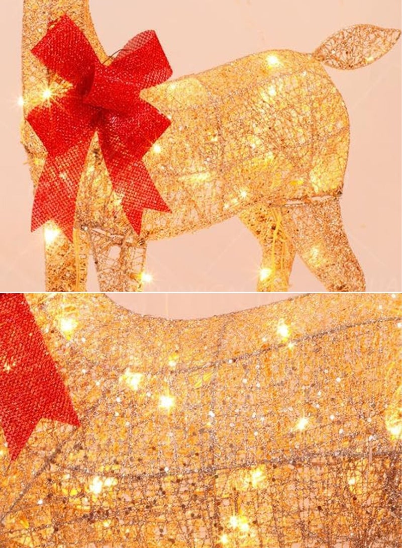 تابيت مجموعة من 3 قطع من زينة عيد الميلاد على شكل رنة مضيئة لتزيين الفناء الخارجي، مجموعة عائلية للزينة الداخلية والخارجية للاحتفالات (3 قطع) - Image 5