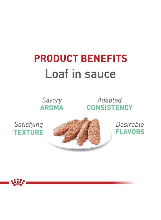 رويال كانين طعام القطط المعلب رويال كانين فيلين كير نيوتريشن دايجست سينسيتيف لوف بالصلصة، 3 أونصة، علبة من 24 قطعة - Image 2