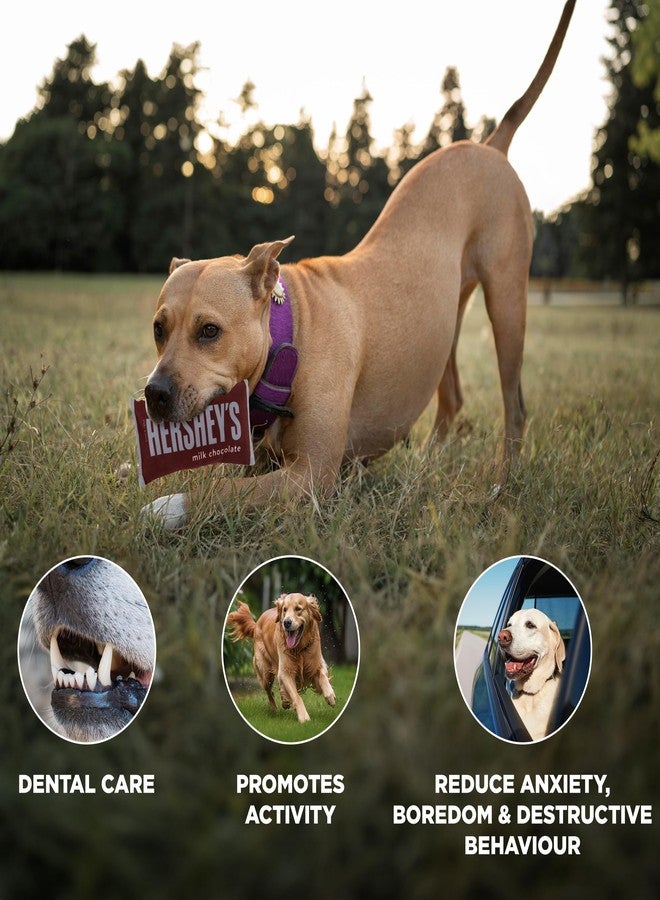 HERSHEY'S Dog Toys - Cute Puppy Toys, - Image 4