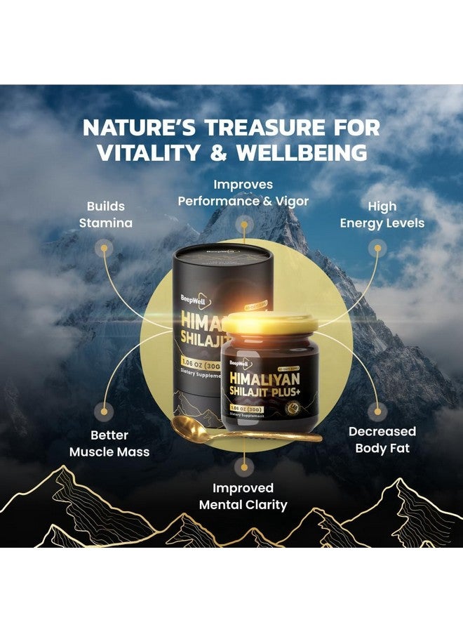 Generic BeepWell Shilajit Resin Plus - Himalayan Shilajit Ashwagandha Pure Organic Natural Resin Men Women Chilajil Maca Root Black Pepper 70% Fulvic Acid 85+ Trace Minerals 40 Servings 1.06 OZ - Image 3