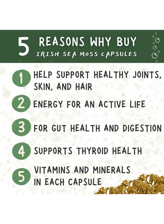 healblend Organic Sea Moss, Bladderwrack, Burdock, & BioPerine - 1405mg with Black Pepper - Natural Wellness and Detox Support Supplement - 60 Capsules - Image 2