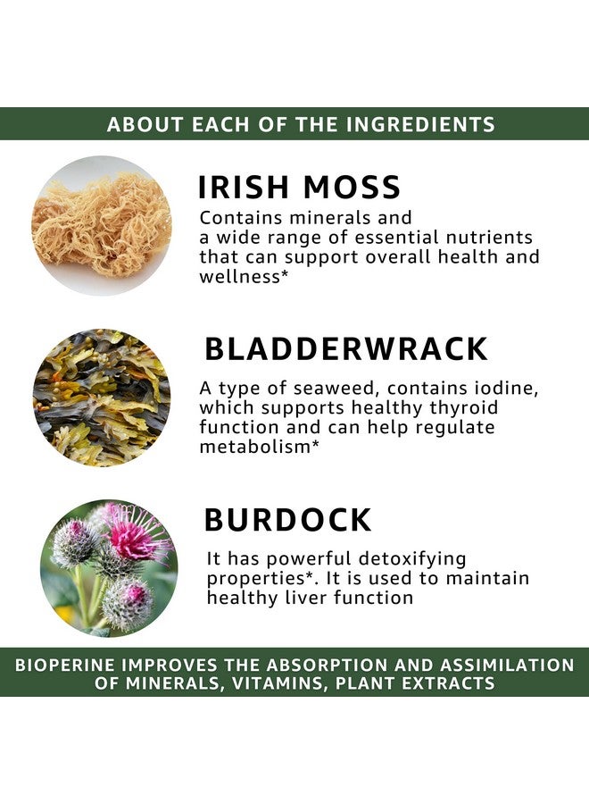healblend Organic Sea Moss, Bladderwrack, Burdock, & BioPerine - 1405mg with Black Pepper - Natural Wellness and Detox Support Supplement - 60 Capsules - Image 5