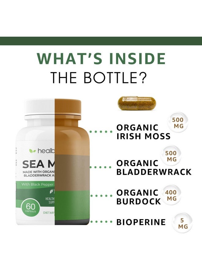 healblend Organic Sea Moss, Bladderwrack, Burdock, & BioPerine - 1405mg with Black Pepper - Natural Wellness and Detox Support Supplement - 60 Capsules - Image 4