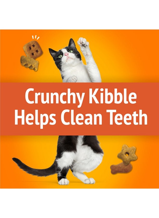 Friskies Purina Friskies Party Mix Favorites Crunch Flavour 20-Oz Canister  - Image 4