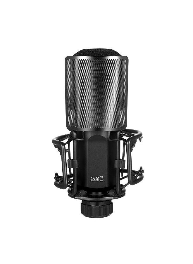 TAKSTAR - PC-K750 Professional Recording Microphone XLR Condenser Mic Unidirectional Cardioid Studio Mic with Shock Mount Pop Filter for Podcasting Live Streaming - Image 1