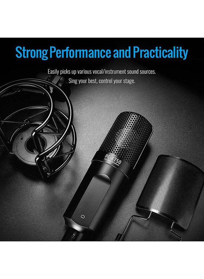 TAKSTAR - PC-K750 Professional Recording Microphone XLR Condenser Mic Unidirectional Cardioid Studio Mic with Shock Mount Pop Filter for Podcasting Live Streaming - Image 1